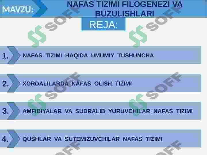 NAFAS TIZIMI FILOGENEZI VA BUZULISHLARI 2