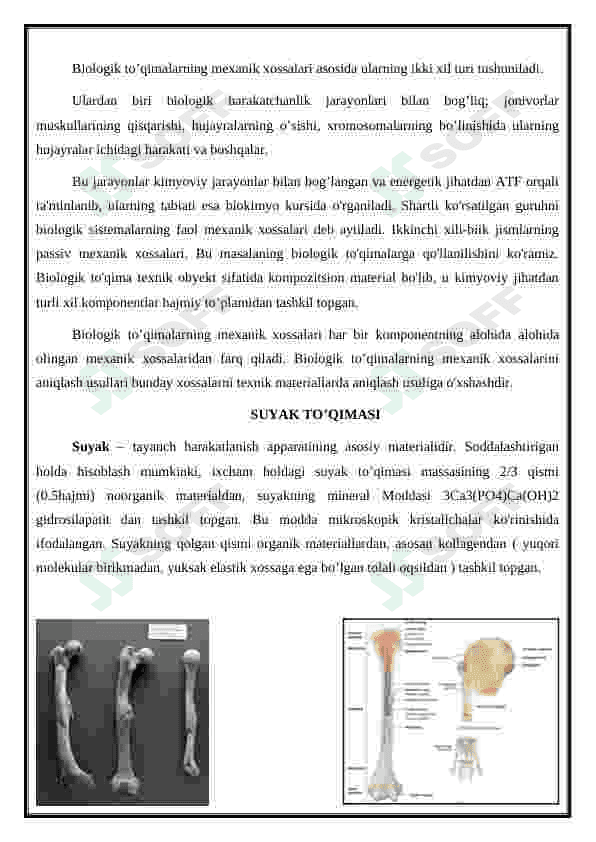 Suyak to’qimasining mexanik xossalari 2
