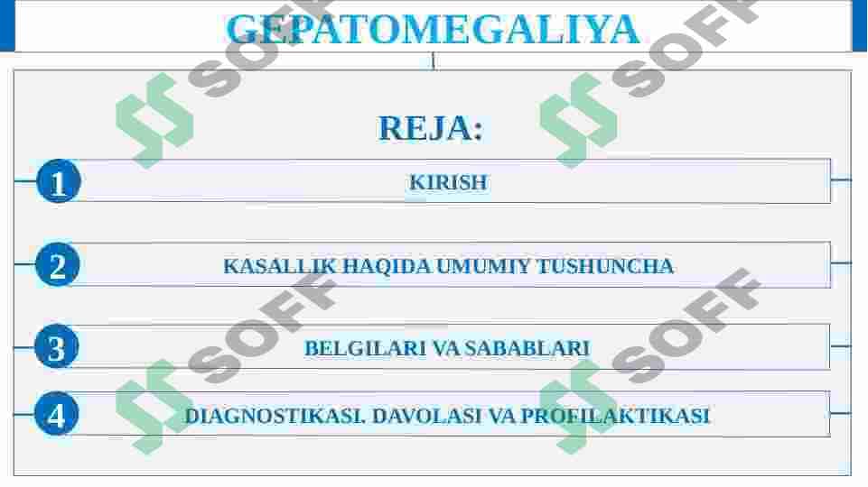 GEPATOMEGALIYA 2