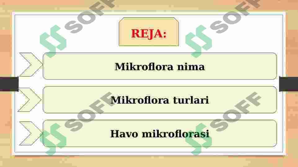 HAVO MIKROFLORASi 2