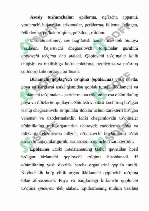 QOPLOVCHI TO'QIMANING TUZILISHI VA AHAMIYATI 2