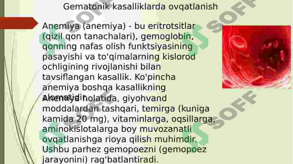 Gematonik kasalliklarda (anemiya) ovqatlanish 2