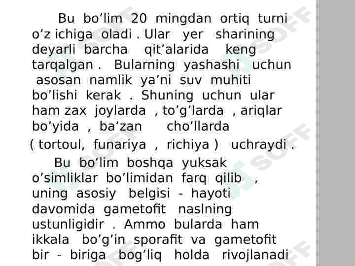 Yoʻsintoifa  sinfi 2