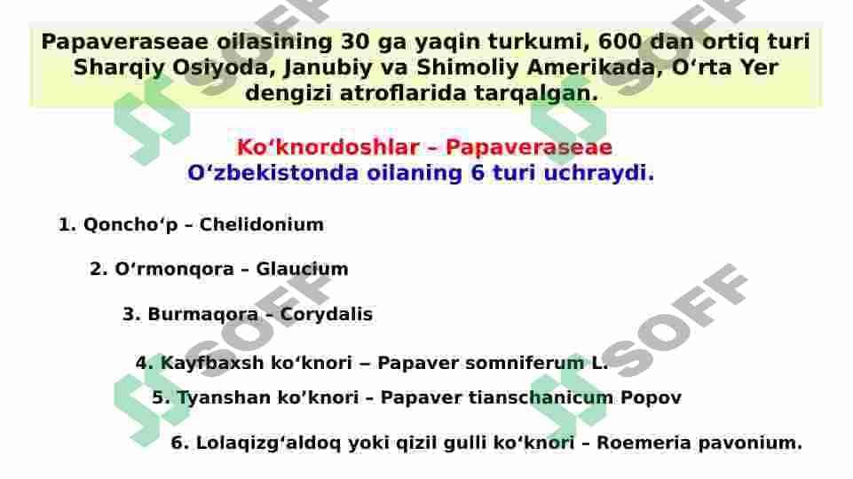 Ko‘knornamolar qabilasi - Papaverales 2