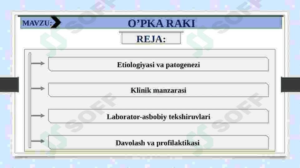 O’PKA RAKI 2