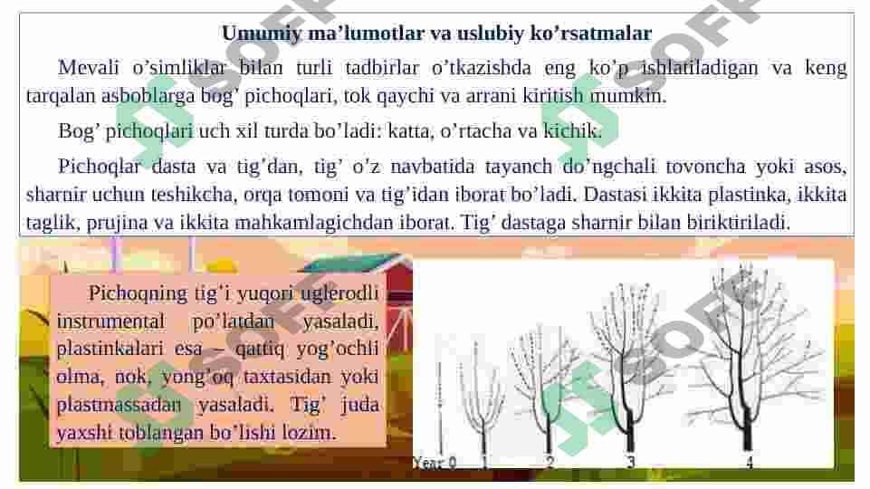 Bog’ asboblari, ulardan foydalanish tartibi hamda meva o’simliklarini payvand qilish usullari. 2
