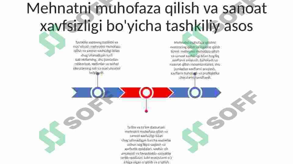 Mehnatni muhofaza qilish va sanoat xavfsizligini boshqarish xududiy, ishlab chiqarishdagi darajasi. 2