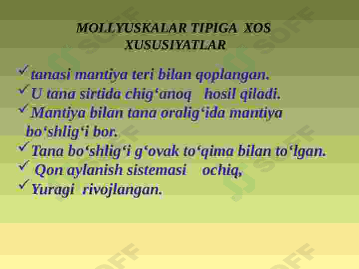 MOLLYUSKALAR TIPI 2
