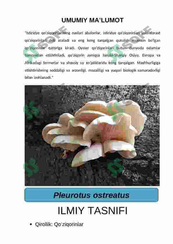 VESHENKANING BIOEKOLOGIYASI 2