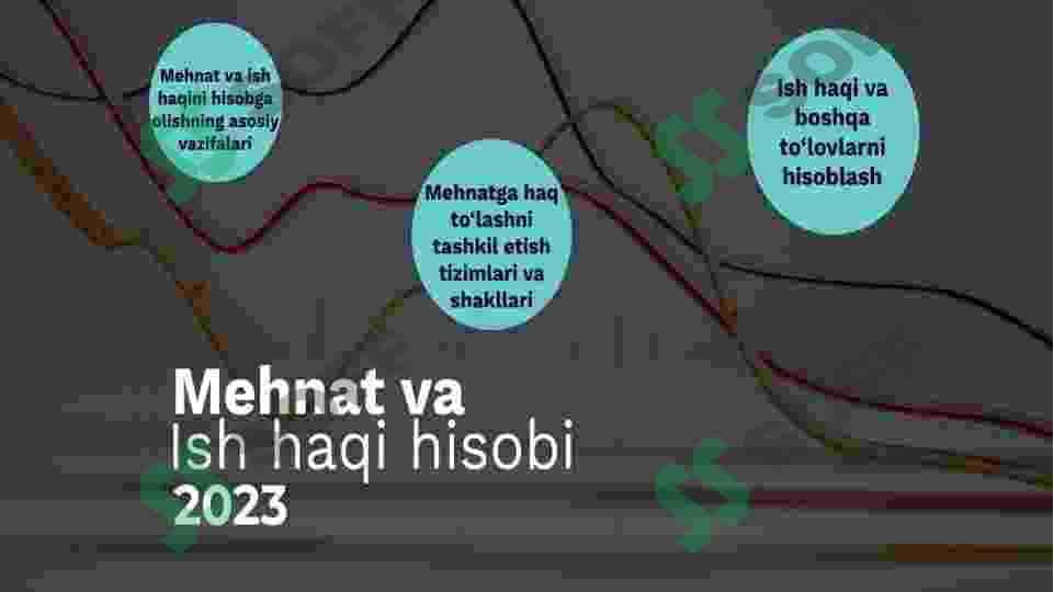 Mehnat va ish haqini hisobga olish 2