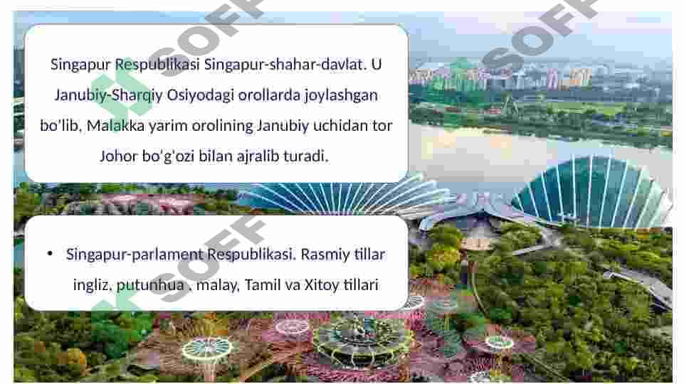 singapur davlatida ijtimoiy ish 2