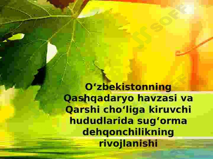 O‘zbekistonning Qashqadaryo havzasi va Qarshi cho‘liga kiruvchi hududlarida sug‘orma dehqonchilikning rivojlanishi 2