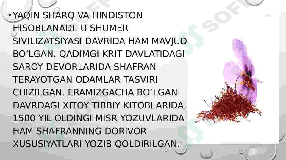 Zafaron oʻsimlik haqida 2