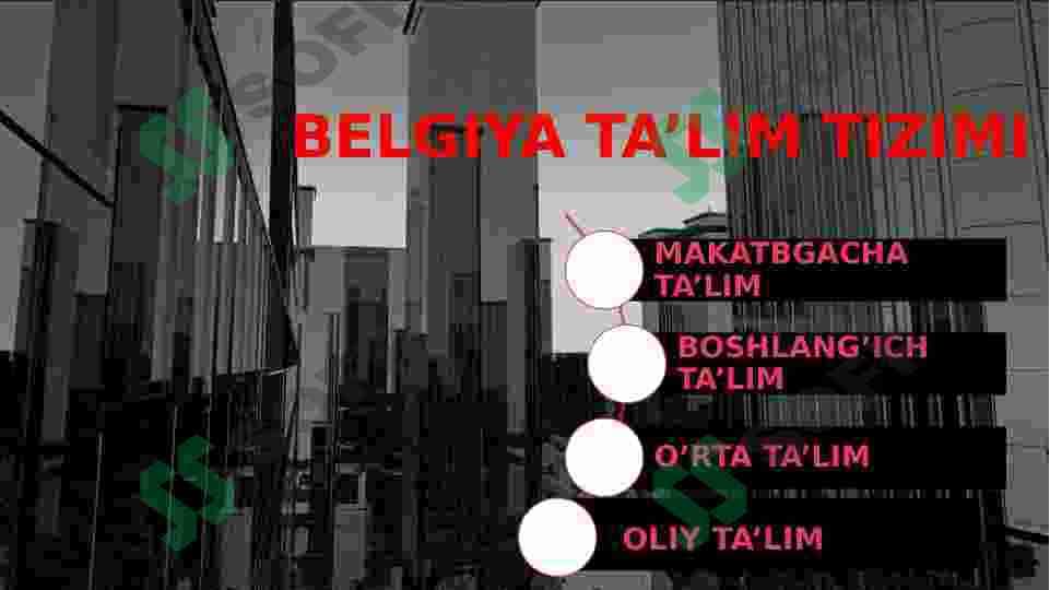 BELGIYA TA’LIM TIZIMI 2