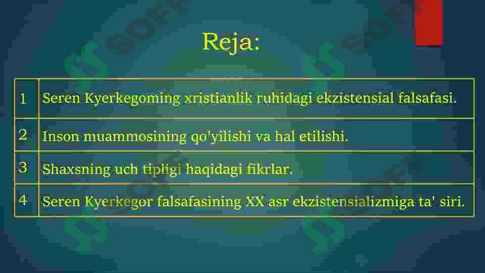 SEREN KYERKEGORNING FALSAFASI 2