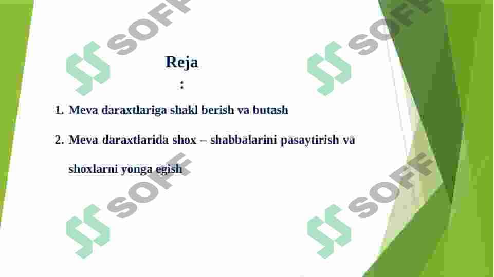 Meva daraxtlariga shakl berish va kesish. 2