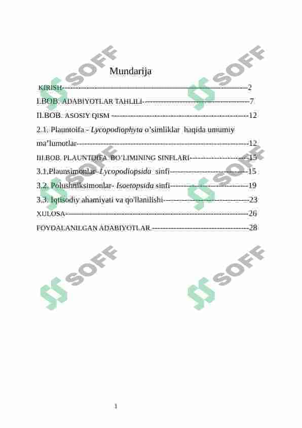 plauntoifa o'simliklar bo'limi 2