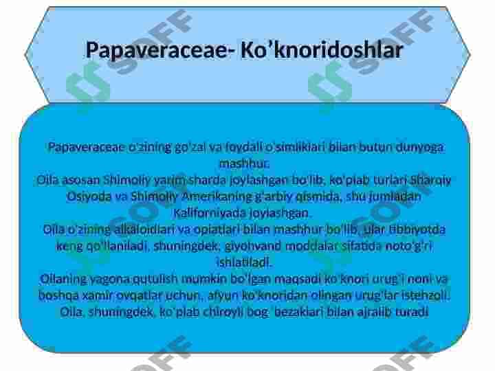Papaveraceae-Koʻknoridoshlar. Koʻknoridoshlar oilasining dorivorlik xususiyatlari 2