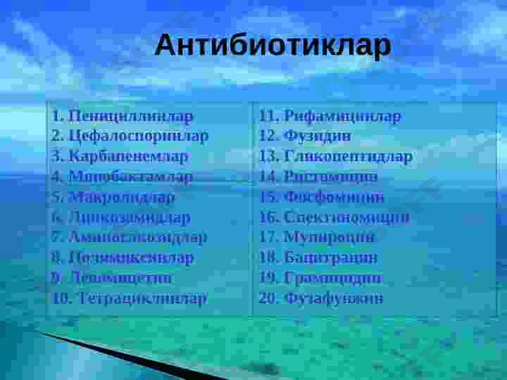 Antibiotikoterapiya 3