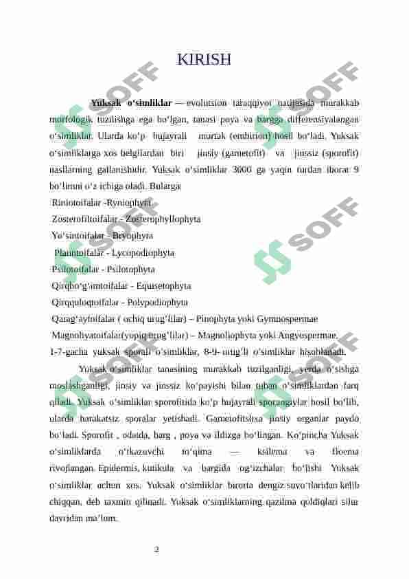 plauntoifa o'simliklar bo'limi 3