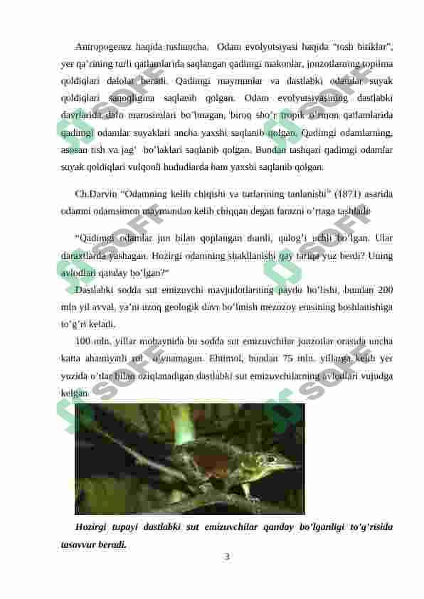 ANTROPOGENEZ 3