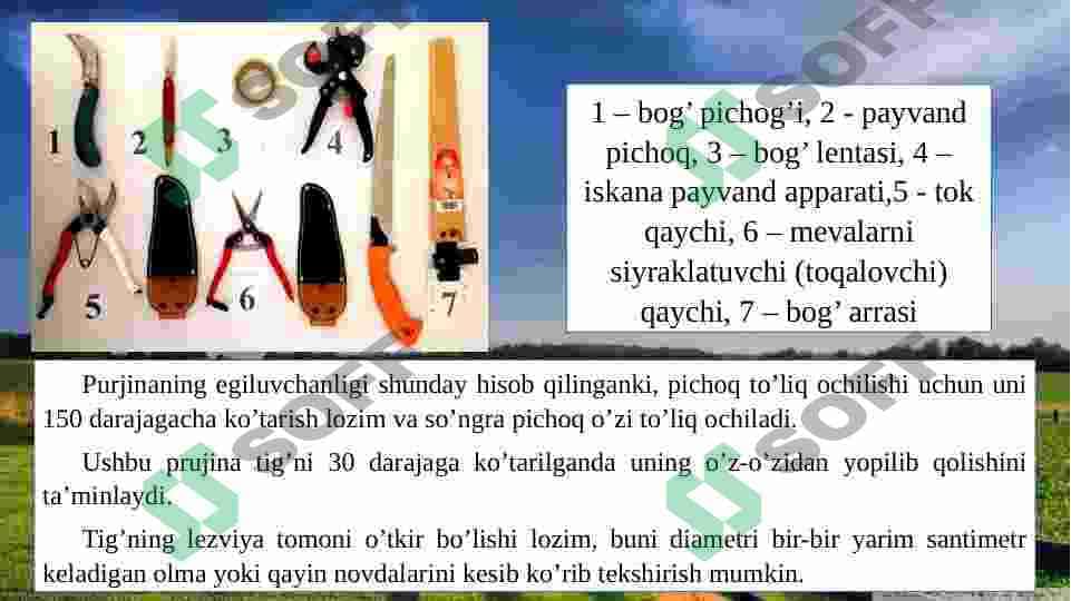 Bog’ asboblari, ulardan foydalanish tartibi hamda meva o’simliklarini payvand qilish usullari. 3