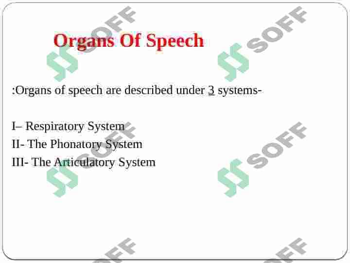 Active and passive speech organs presentation 3