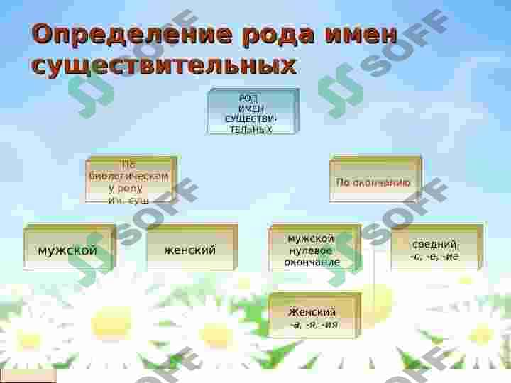ОПРЕДЕЛЕНИЕ РОДА ИМЕН СУЩЕСТВИТЕЛЬНЫХ ПО ЗНАЧЕНИЮ И ОКОНЧАНИЮ 3