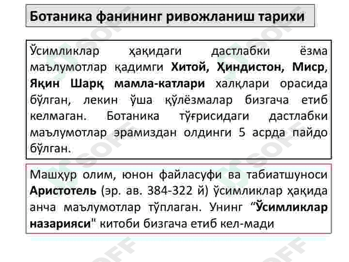 Oʻsimlik hujayrasining tuzilishi va rivojlanish bosqichlari 3