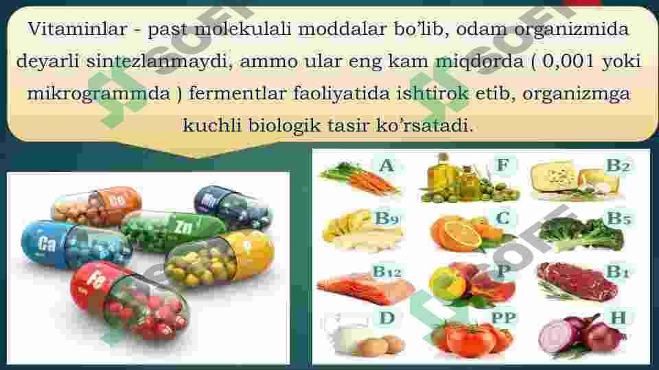 Mikroorganizmlardan vitaminlarni sintezlab olish 3