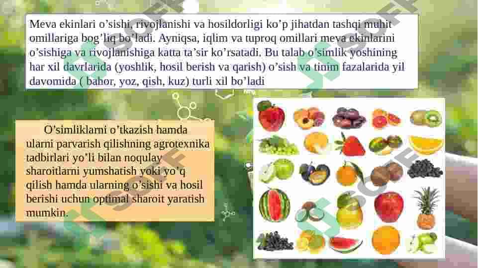 Meva va rezavor meva o’simliklarining tashqi muhit omillariga talabi. 3