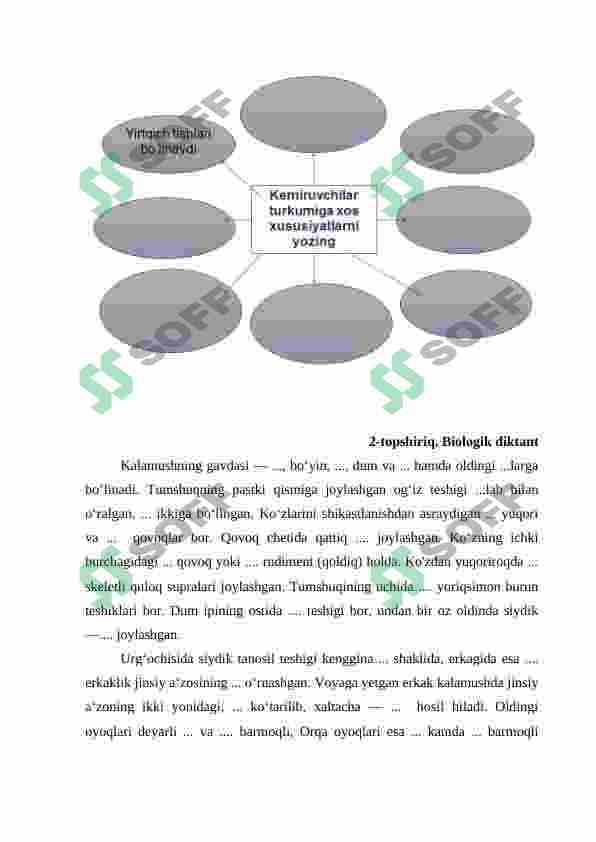 KALAMUSHNING TUZILISHI 3