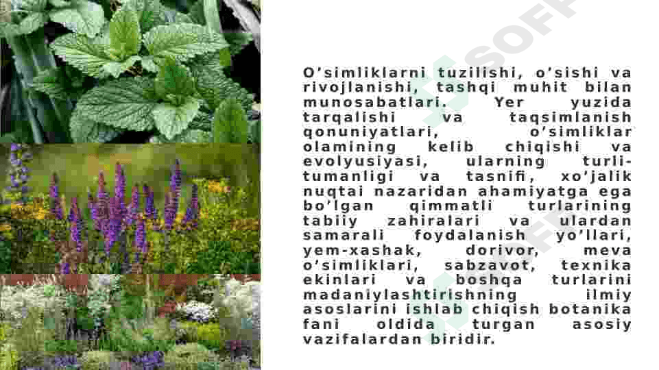 O’SIMLIKLAR DUNYOSI 3