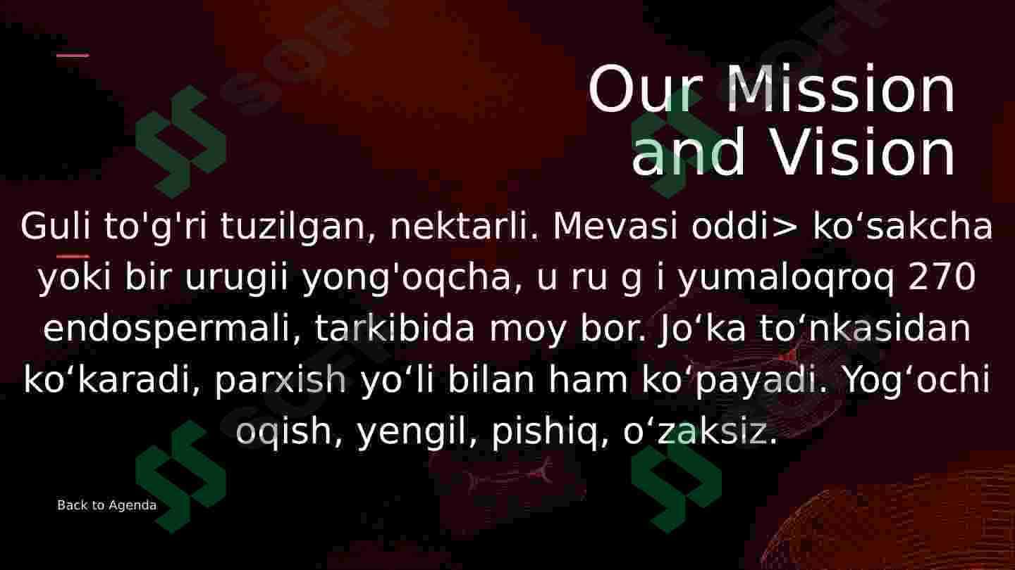 Jo'kadoshlar oilasi 3