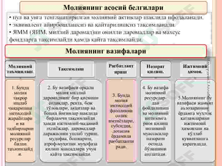 Молия тизими 3