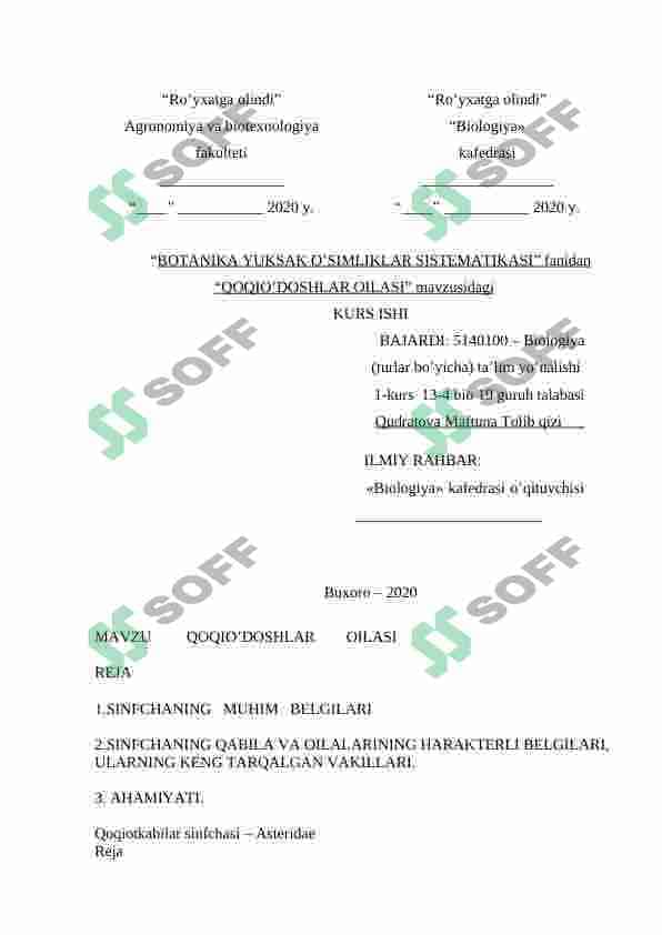 Qoqioʻtdoshlar oilasi botanika kurs ishi 3