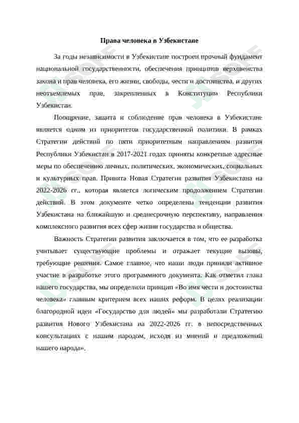 Установление гарантий прав человека в Узбекистане 3