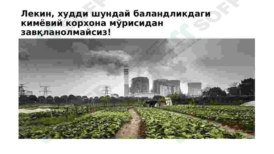 Эстетика 3