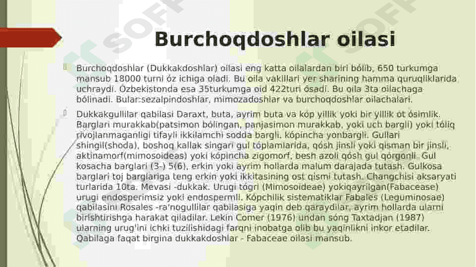 Burchoqdoshlar oilasi 3