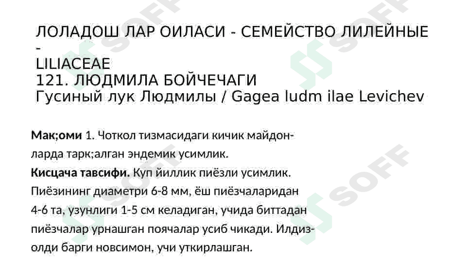 Loladoshlar oilasi 3