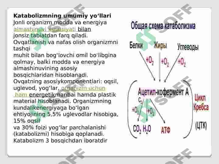 KATABALIZIMNING UMUMIY ASOSLARI 3