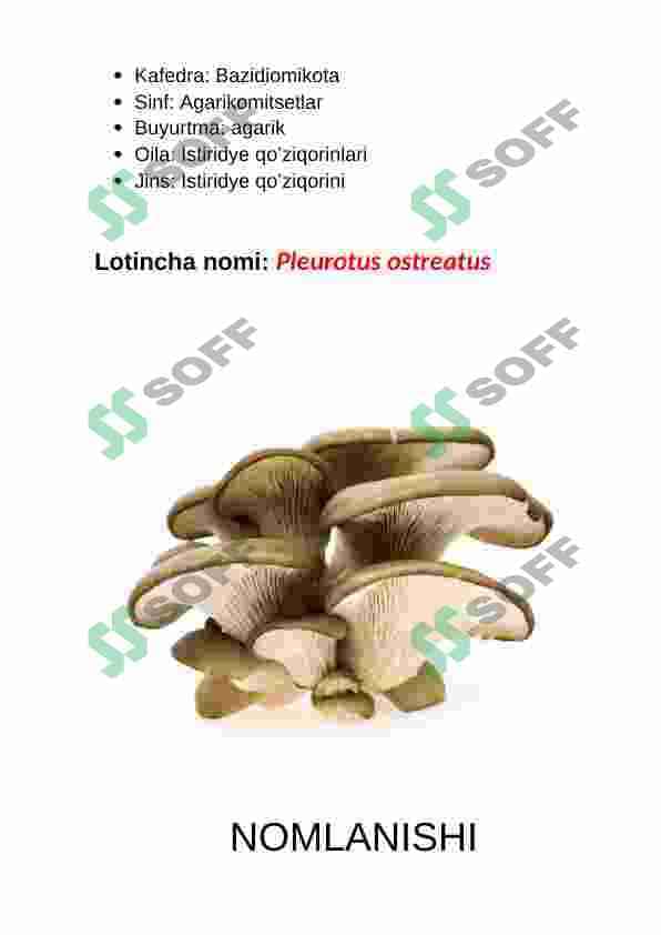 VESHENKANING BIOEKOLOGIYASI 3
