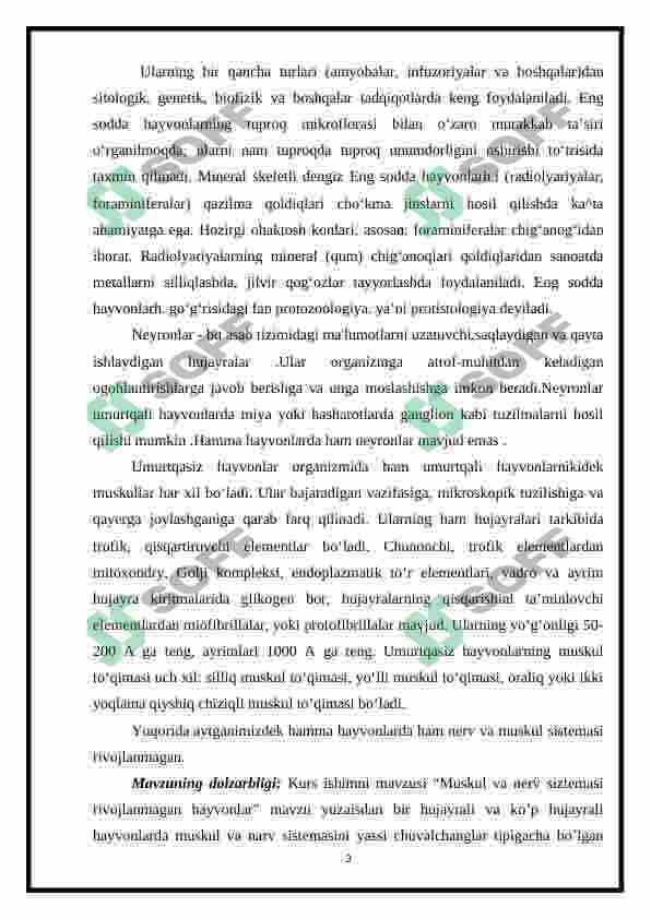 Muskul va nerv sistemasi rivojlanmagan hayvonlar 3