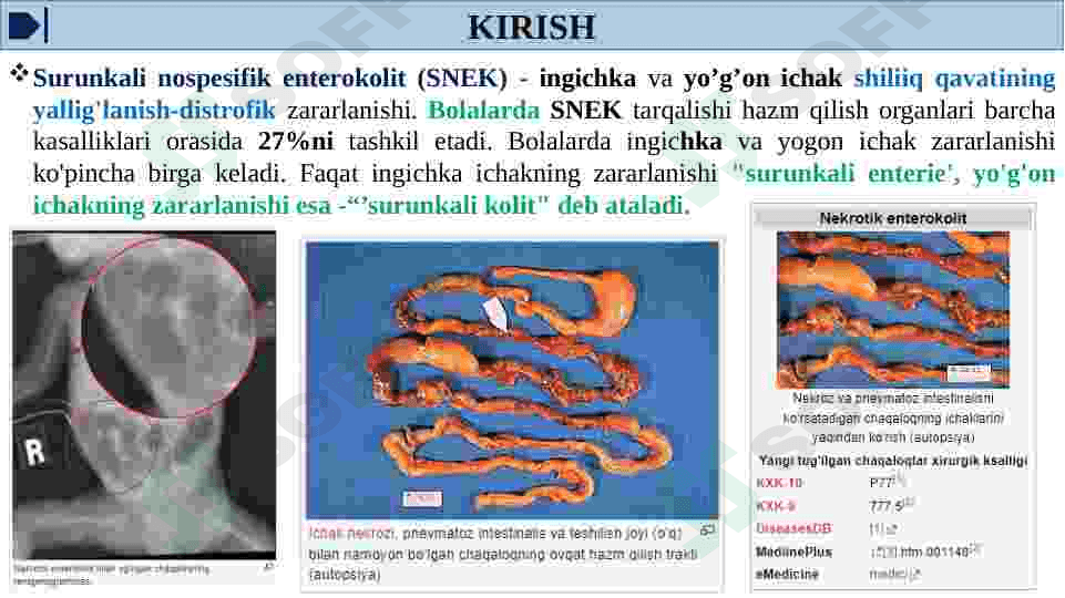 SURUNKALI ENTEROKOLIT 3