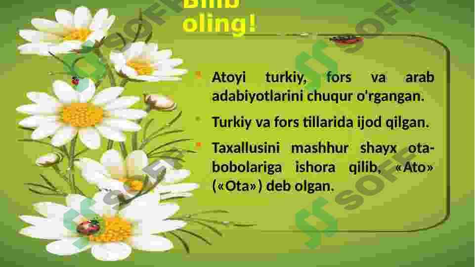 Atoiy lirikasi 3