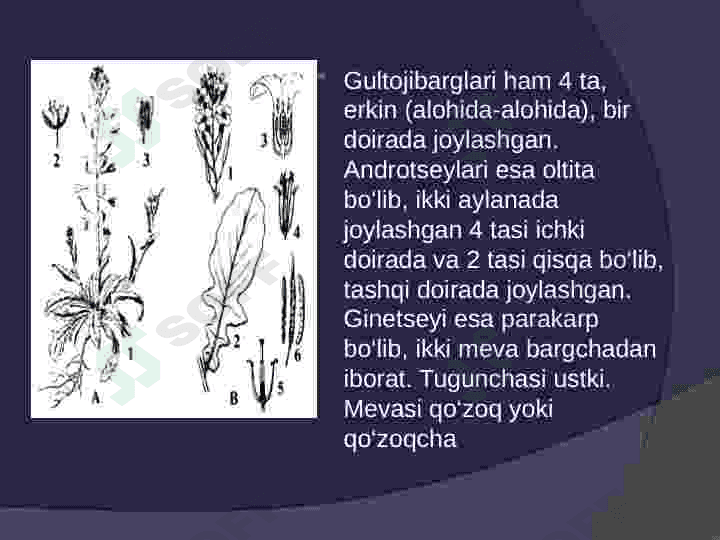 Kovulnamolar qabulasi 3