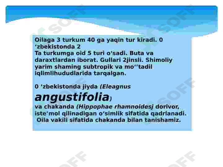 Jiydanamolar qabilasi 3