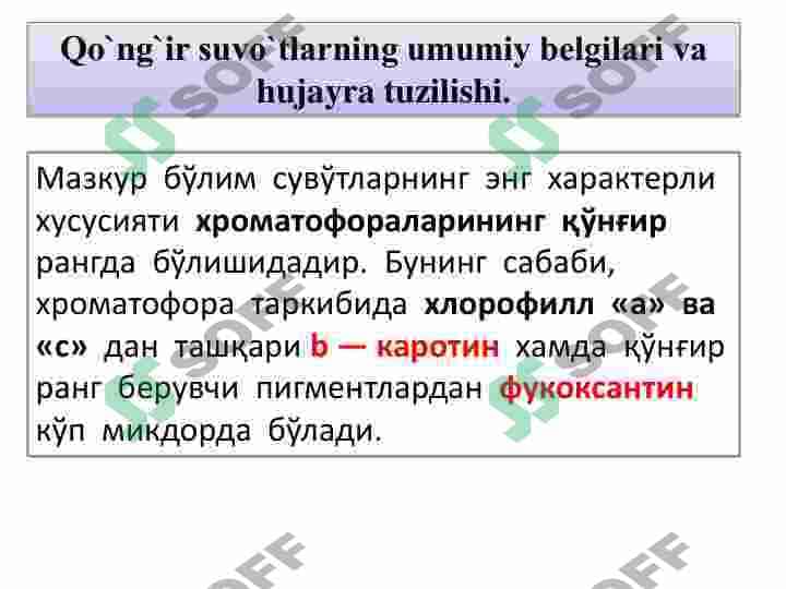 Qoʻnğir va diatom suvoʻtlar 3