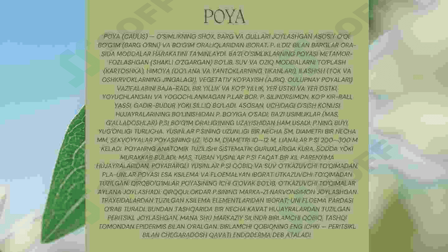 Poya va uning vazifalari 3