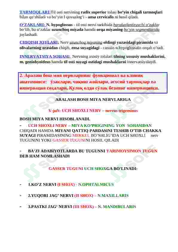 TIBBIYOT TALABALARI UCHUN ANATOMIYA FANIDAN QO'LLANMA 3